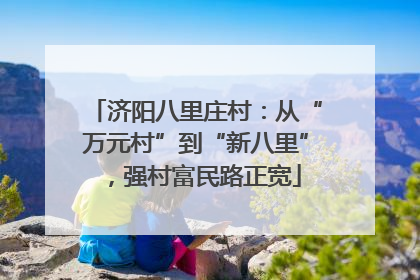 济阳八里庄村：从“万元村”到“新八里”，强村富民路正宽
