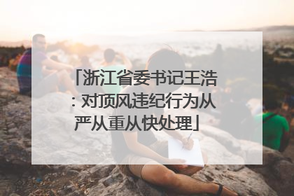 浙江省委书记王浩：对顶风违纪行为从严从重从快处理