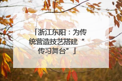 浙江东阳：为传统营造技艺搭建“传习舞台”