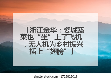 浙江金华：婺城蔬菜也“坐”上了飞机，无人机为乡村振兴插上“翅膀”