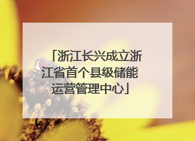 浙江长兴成立浙江省首个县级储能运营管理中心