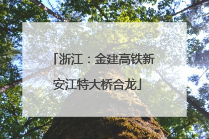 浙江：金建高铁新安江特大桥合龙