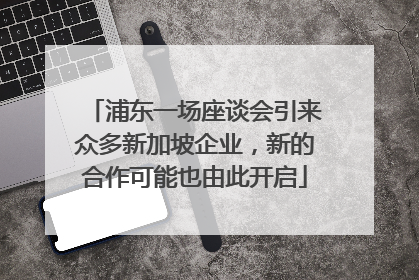 浦东一场座谈会引来众多新加坡企业，新的合作可能也由此开启