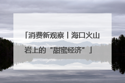 消费新观察丨海口火山岩上的“甜蜜经济”
