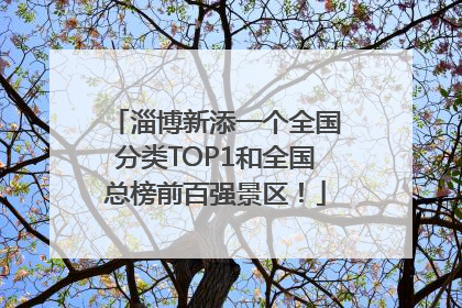 淄博新添一个全国分类TOP1和全国总榜前百强景区！