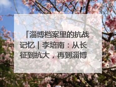淄博档案里的抗战记忆｜李培南：从长征到抗大，再到淄博的革命足迹