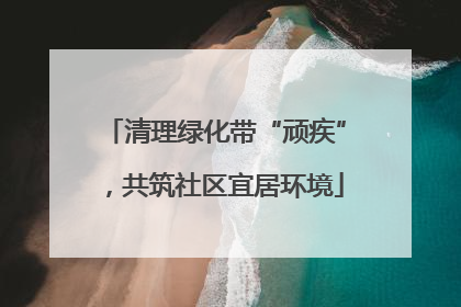 清理绿化带“顽疾”，共筑社区宜居环境