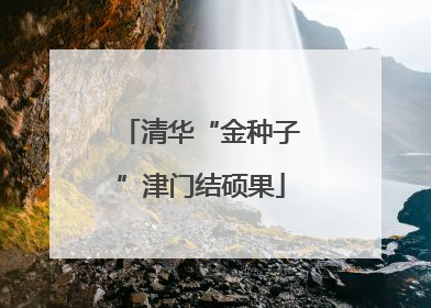 清华“金种子”津门结硕果