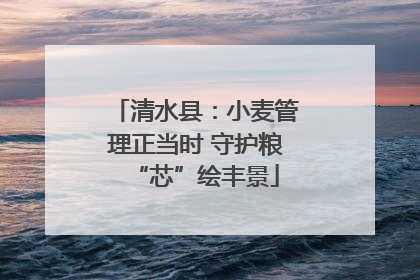 清水县：小麦管理正当时 守护粮“芯”绘丰景