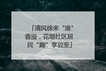 清风徐来“廉”香漫，花堤社区居民“趣”享夏至