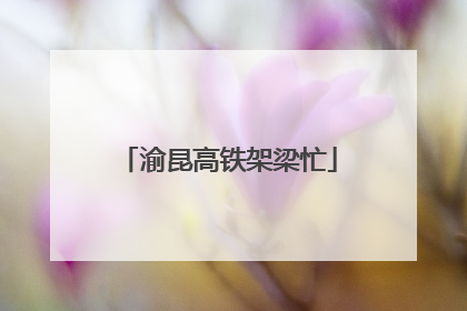 渝昆高铁架梁忙