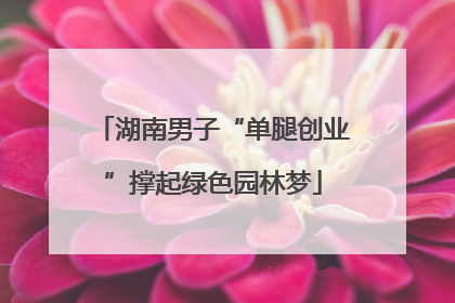 湖南男子“单腿创业”撑起绿色园林梦