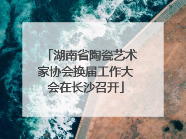 湖南省陶瓷艺术家协会换届工作大会在长沙召开