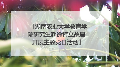 湖南农业大学教育学院研究生赴徐特立故居开展主题党日活动