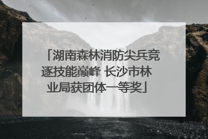 湖南森林消防尖兵竞逐技能巅峰 长沙市林业局获团体一等奖