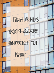 湖南永州冷水滩生态环境保护知识“进校园”