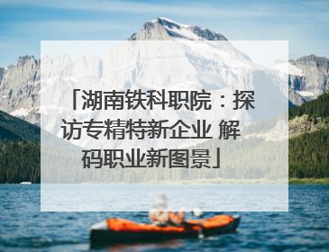 湖南铁科职院：探访专精特新企业 解码职业新图景