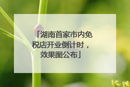 湖南首家市内免税店开业倒计时，效果图公布