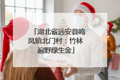湖北省远安县鸣凤镇北门村：竹林遍野绿生金