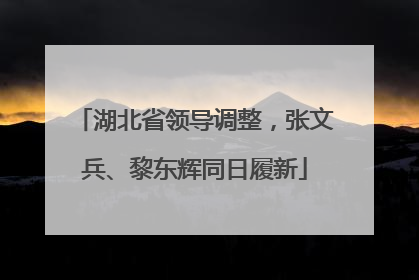 湖北省领导调整，张文兵、黎东辉同日履新