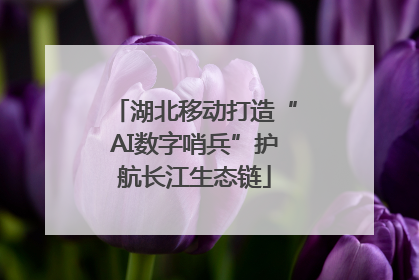 湖北移动打造“AI数字哨兵”护航长江生态链