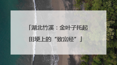 湖北竹溪：金叶子托起田埂上的“致富经”