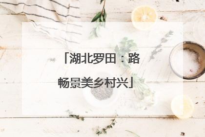 湖北罗田：路畅景美乡村兴