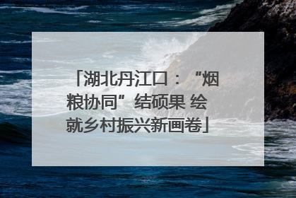 湖北丹江口：“烟粮协同”结硕果 绘就乡村振兴新画卷