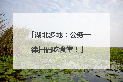 湖北多地：公务一律扫码吃食堂！