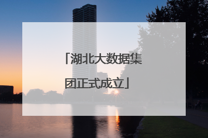 湖北大数据集团正式成立