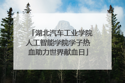 湖北汽车工业学院人工智能学院学子热血助力世界献血日