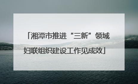 湘潭市推进“三新”领域妇联组织建设工作见成效