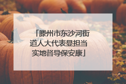 滕州市东沙河街道人大代表显担当实地督导保安康
