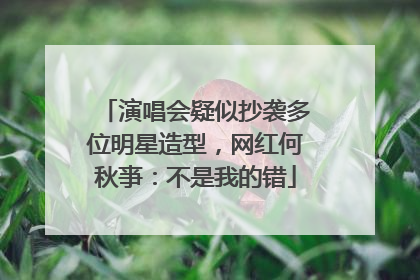 演唱会疑似抄袭多位明星造型，网红何秋亊：不是我的错