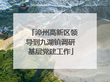 漳州高新区领导到九湖镇调研基层党建工作