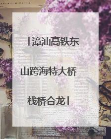 漳汕高铁东山跨海特大桥栈桥合龙