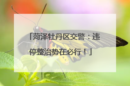 菏泽牡丹区交警：违停整治势在必行！