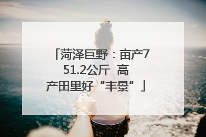 菏泽巨野：亩产751.2公斤  高产田里好“丰景”