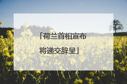 荷兰首相宣布将递交辞呈