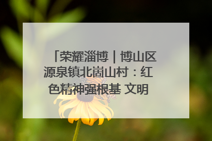 荣耀淄博｜博山区源泉镇北崮山村：红色精神强根基 文明新风润山乡