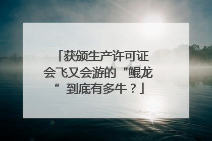 获颁生产许可证 会飞又会游的“鲲龙”到底有多牛？