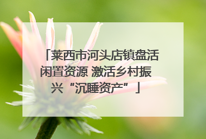 莱西市河头店镇盘活闲置资源 激活乡村振兴“沉睡资产”