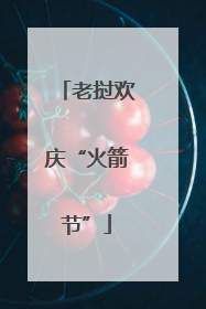 老挝欢庆“火箭节”
