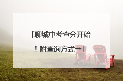 聊城中考查分开始！附查询方式→
