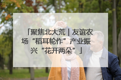 聚焦北大荒｜友谊农场“稻耳轮作”产业振兴“花开两朵”