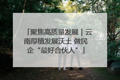 聚焦高质量发展｜云南厚植发展沃土 做民企“最好合伙人”