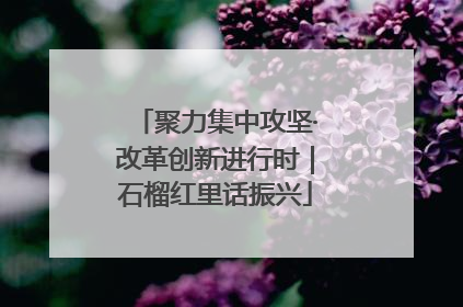 聚力集中攻坚·改革创新进行时｜石榴红里话振兴