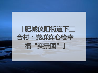 肥城仪阳街道下三合村：党群连心绘幸福“实景图”