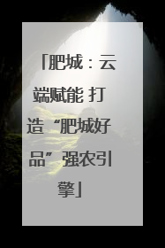 肥城：云端赋能 打造“肥城好品”强农引擎