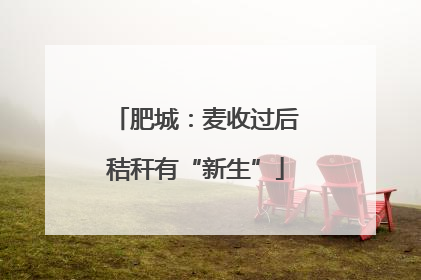 肥城：麦收过后秸秆有“新生”